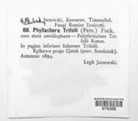 Image Associated With the Occurence